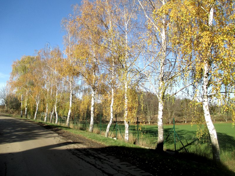 fotografie z akce NsL - Zásmuky - Kouřim 15 km