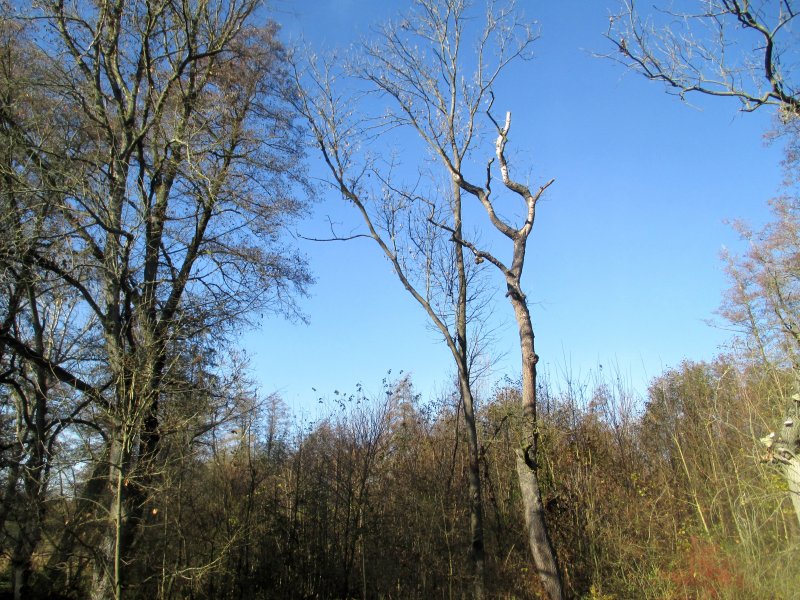 fotografie z akce NsL - Zásmuky - Kouřim 15 km