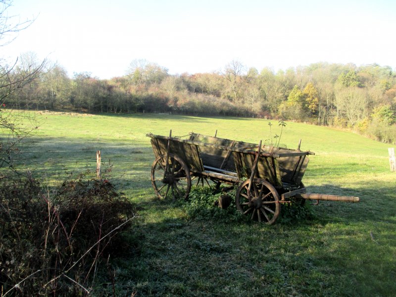 fotografie z akce NsL - Zásmuky - Kouřim 15 km