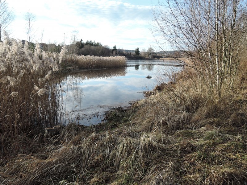 fotografie z akce PŘÍBRAM_ORLOV  Jince 18km Brdy