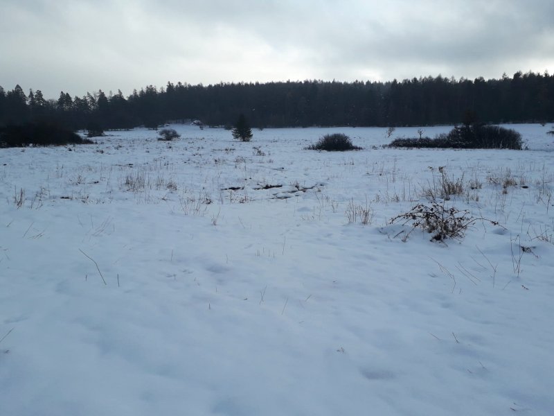 fotografie z akce Po hřebenu Brd - 15. ročník