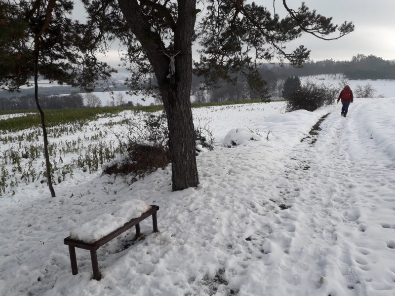 fotografie z akce Po hřebenu Brd - 15. ročník