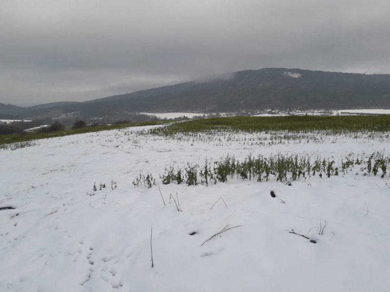fotografie z akce Po hřebenu Brd - 15. ročník