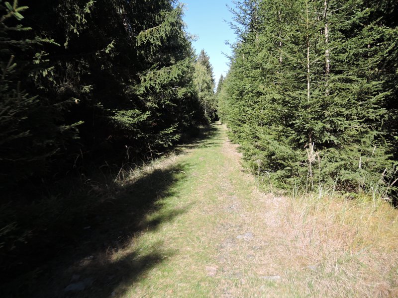 fotografie z akce Poznej Brdy 2 s Václavem  14km