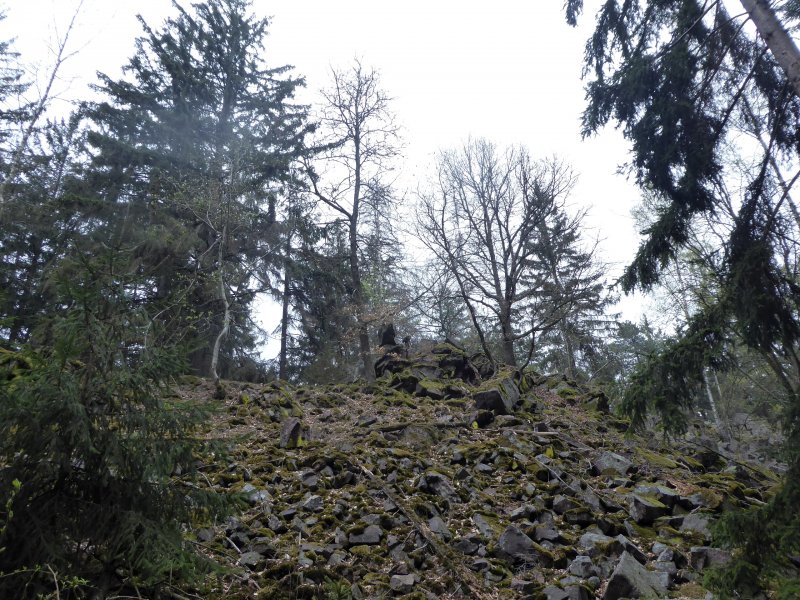 fotografie z akce Poznej Brdy(3) s Václavem-16km