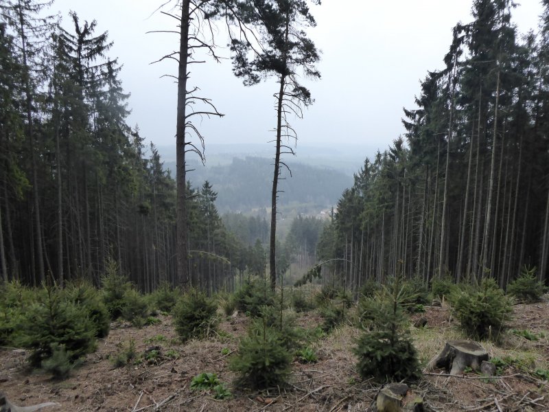 fotografie z akce Poznej Brdy(3) s Václavem-16km