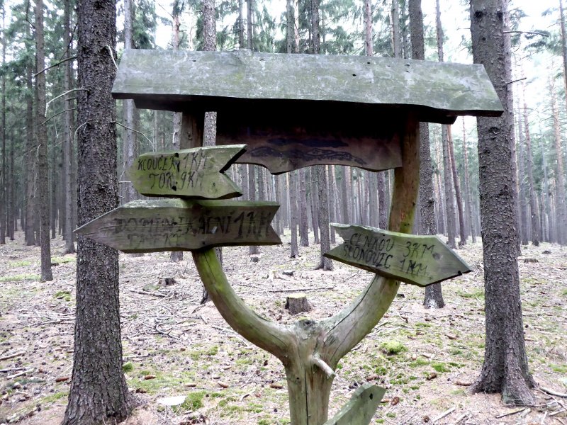 fotografie z akce Poznej Brdy(3) s Václavem-16km