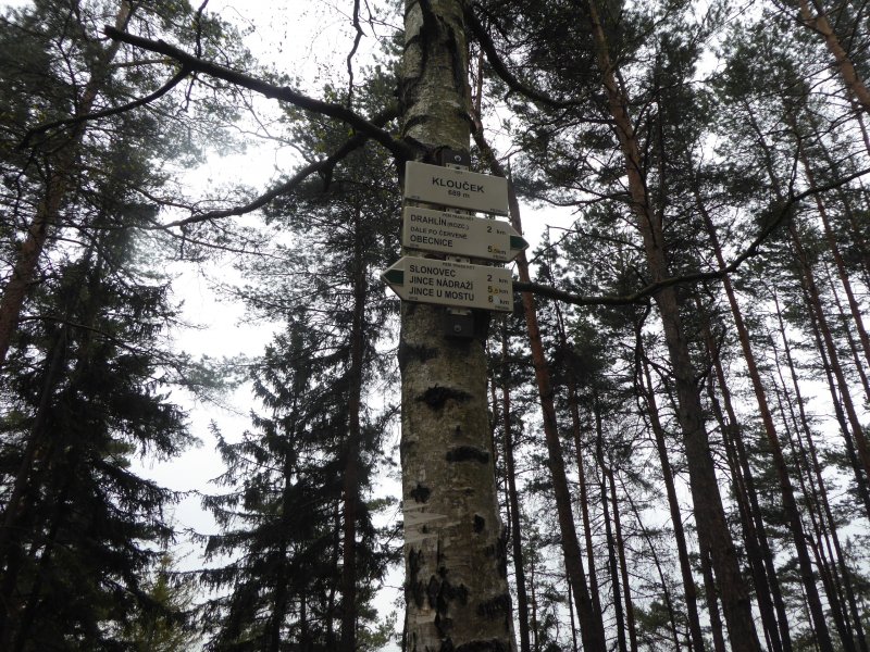 fotografie z akce Poznej Brdy(3) s Václavem-16km