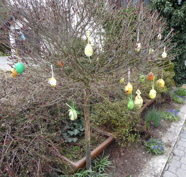 fotografie z akce Poznej Brdy(3) s Václavem-16km