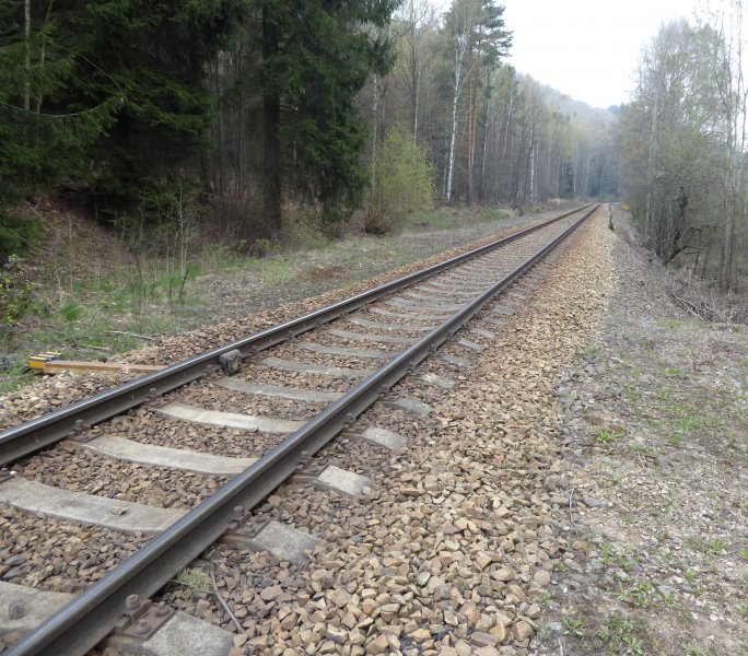 fotografie z akce Poznej Brdy(3) s Václavem-16km