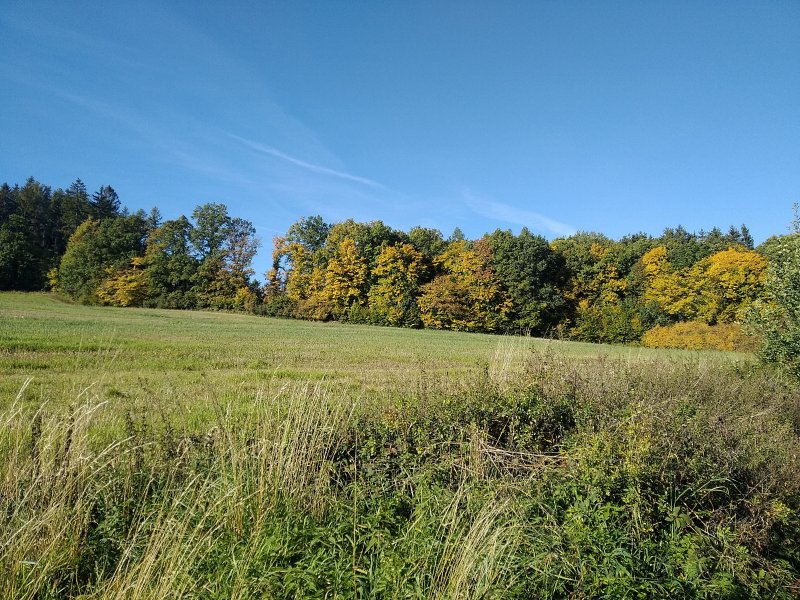 fotografie z akce Poznej Brdy 7 - s Václavem