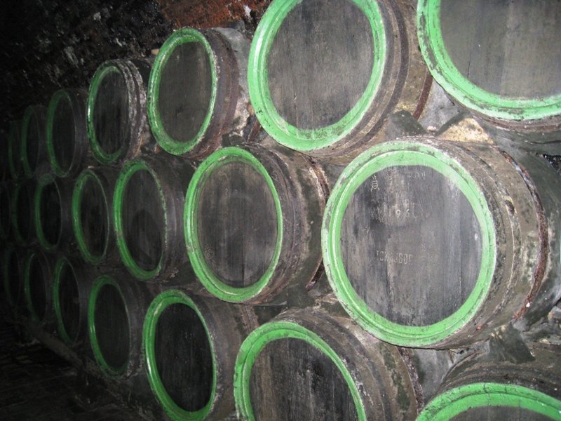 fotografie z akce Putování slováckým vinohradem