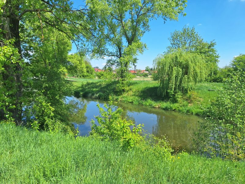 fotografie z akce S Přemkem podél Rokytky/II.
