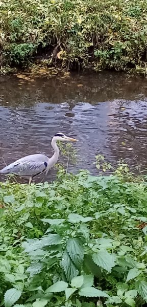 fotografie z akce S Přemkem podél Rokytky/III.