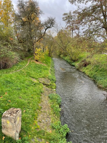 fotografie z akce S Přemkem podél Rokytky/III.