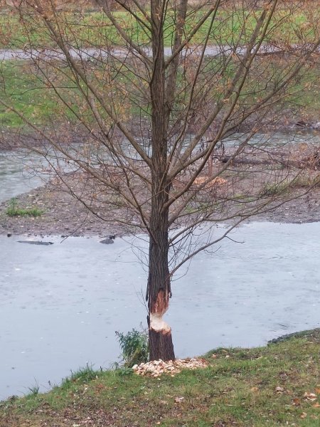 fotografie z akce S Přemkem podél Rokytky/III.