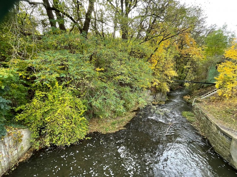 fotografie z akce S Přemkem podél Rokytky/III.