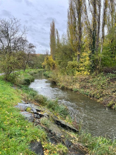 fotografie z akce S Přemkem podél Rokytky/III.