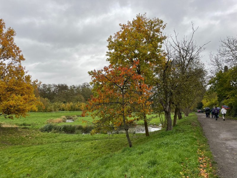 fotografie z akce S Přemkem podél Rokytky/III.