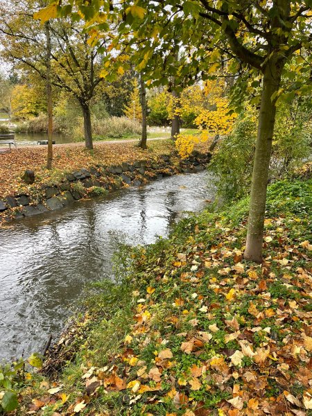 fotografie z akce S Přemkem podél Rokytky/III.