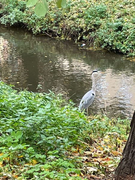 fotografie z akce S Přemkem podél Rokytky/III.