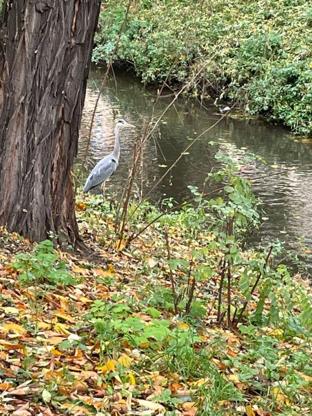 fotografie z akce S Přemkem podél Rokytky/III.