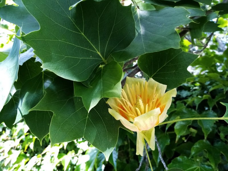 fotografie z akce SsI - Putování Velkopopovickem