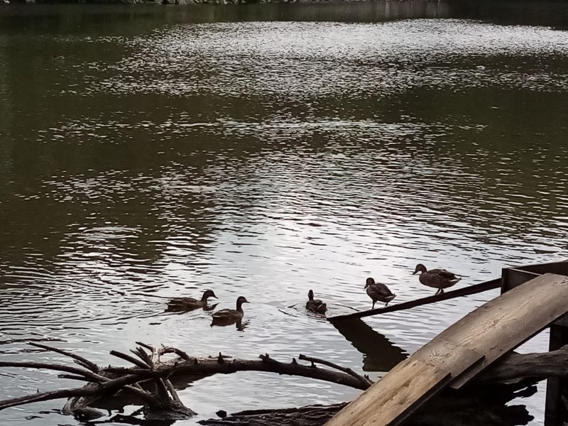 fotografie z akce SsI - Putování Velkopopovickem