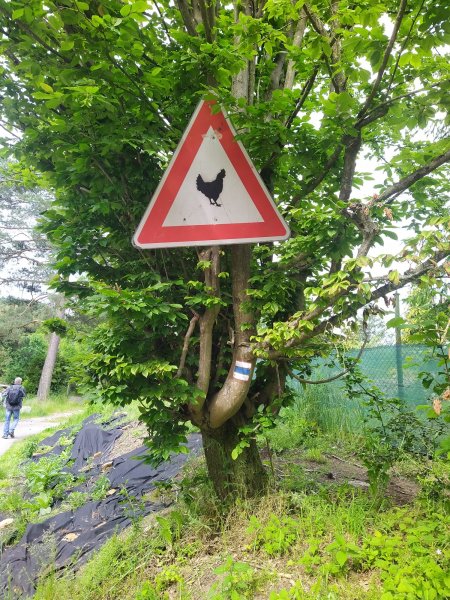 fotografie z akce SsI - Putování Velkopopovickem