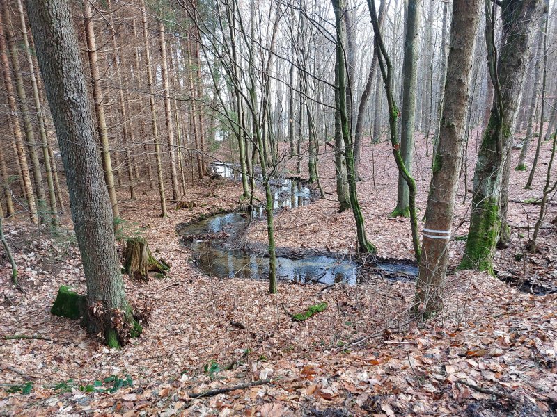 fotografie z akce Silvestrovský vejšlap 2023