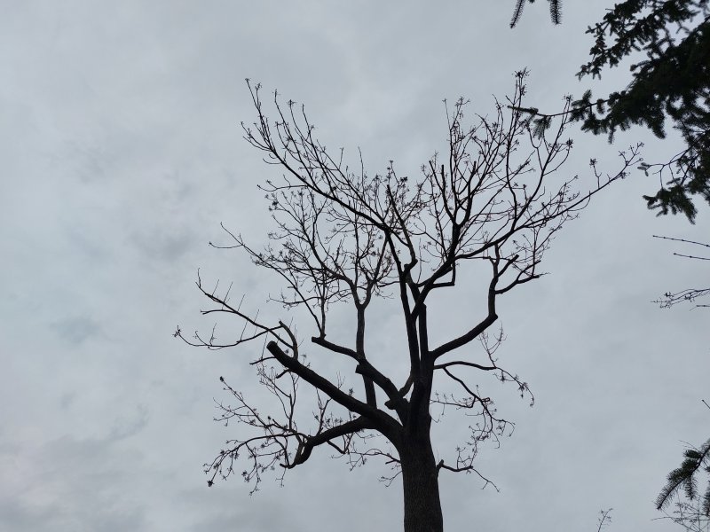 fotografie z akce Silvestrovský vejšlap 2023