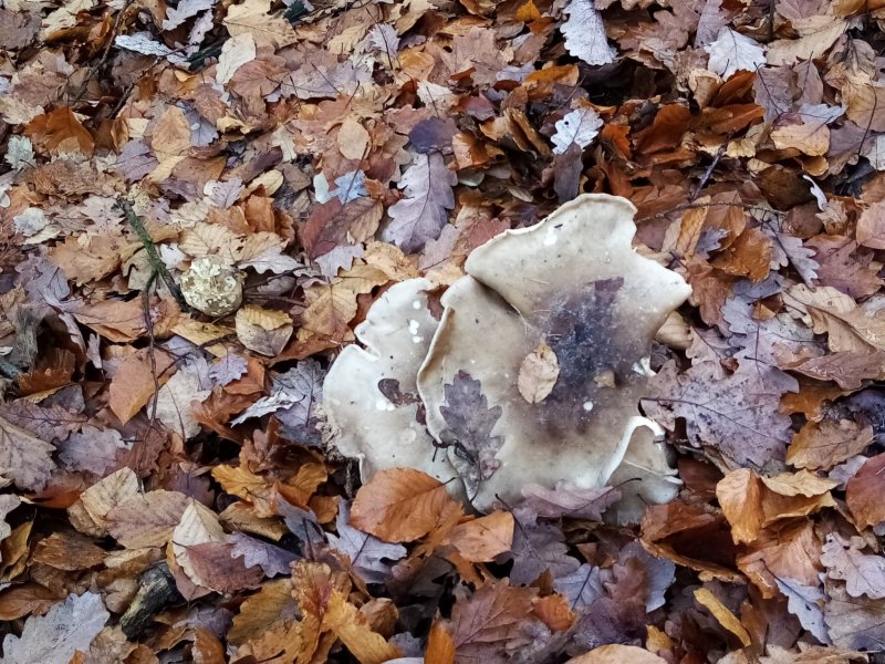 fotografie z akce Silvestrovský vejšlap 2023