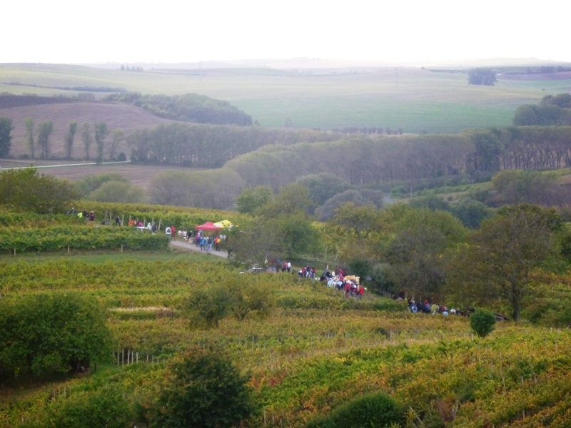 fotografie z akce Slováckými vinohrady 2011