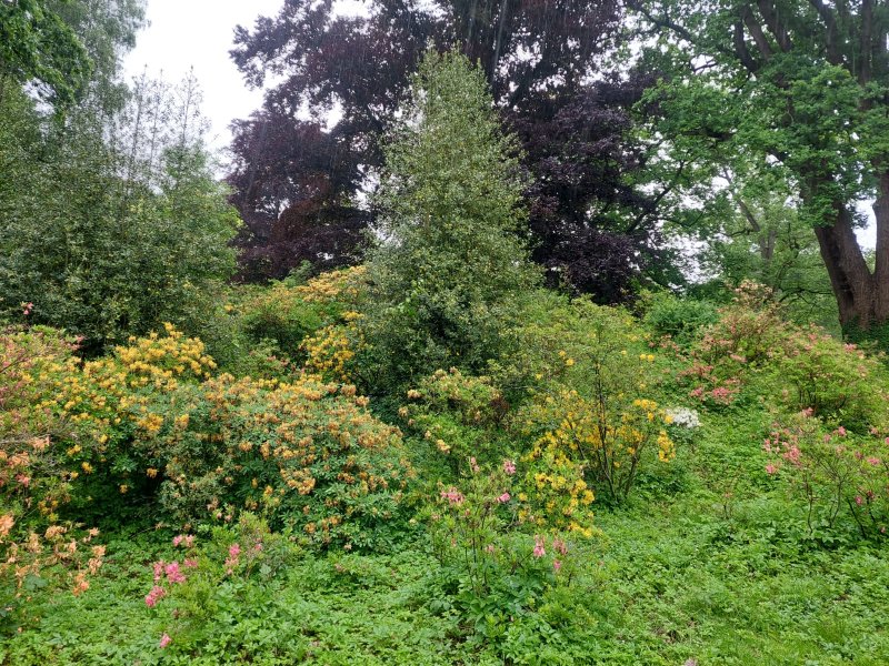 fotografie z akce SsI-Po stopách SidonieNádherné
