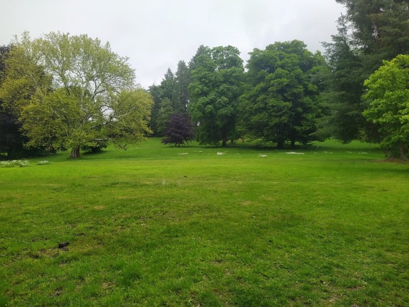 fotografie z akce SsI-Po stopách SidonieNádherné