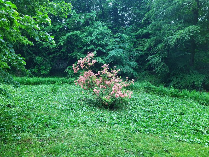 fotografie z akce SsI-Po stopách SidonieNádherné