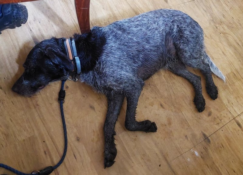 fotografie z akce SsI-Po stopách SidonieNádherné