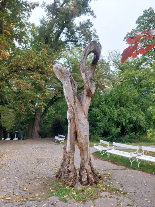 fotografie z akce SsIrenou - K zámku Konopiště