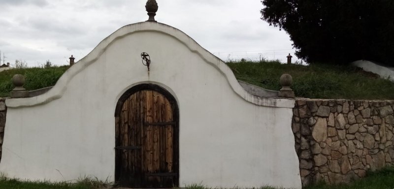 fotografie z akce SsIrenou - K zámku Konopiště