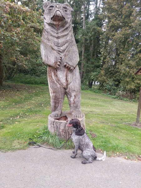 fotografie z akce SsIrenou - K zámku Konopiště