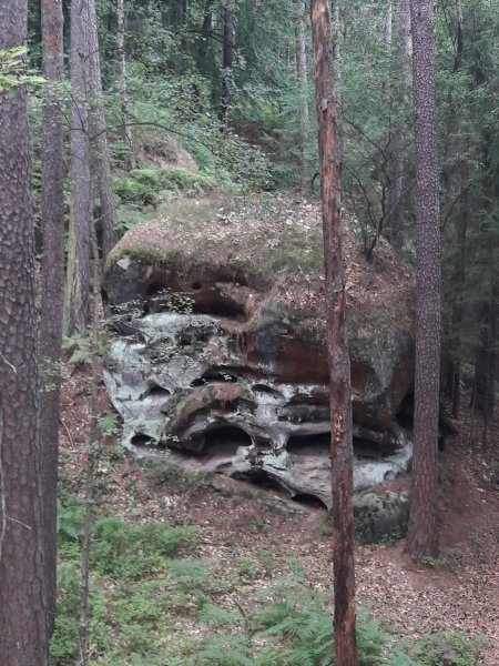 fotografie z akce Týden v Českém ráji  II.