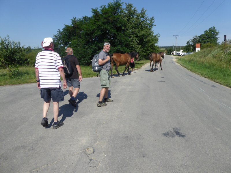 fotografie z akce Týden v Šatově s Přemkem -III.