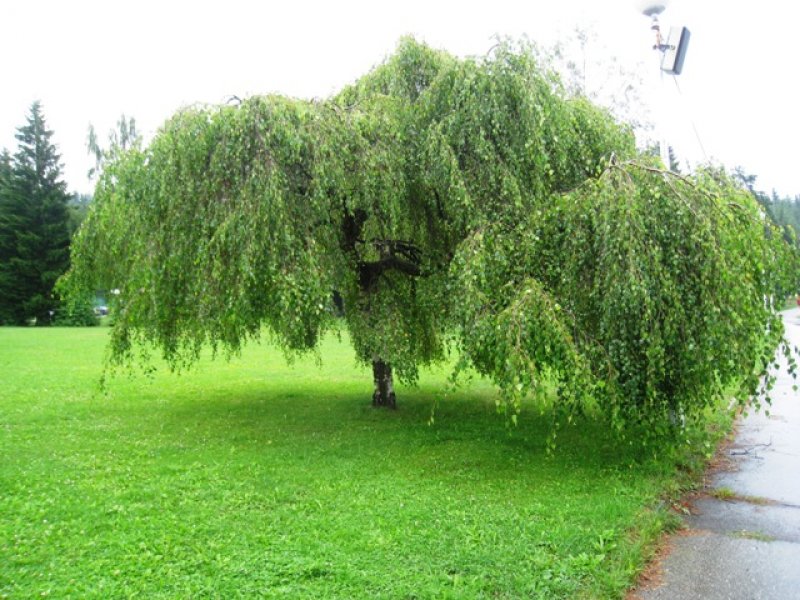 fotografie z akce Tři studně 2010 - II.