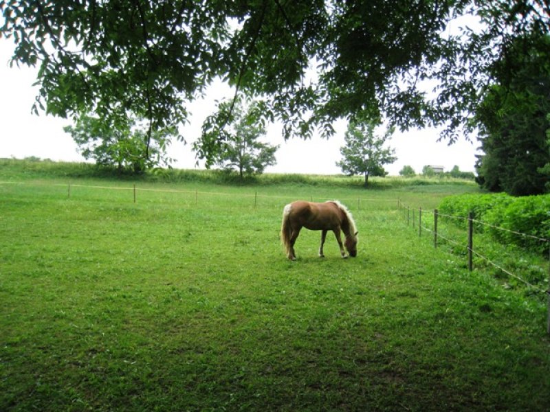 fotografie z akce Tři studně 2010