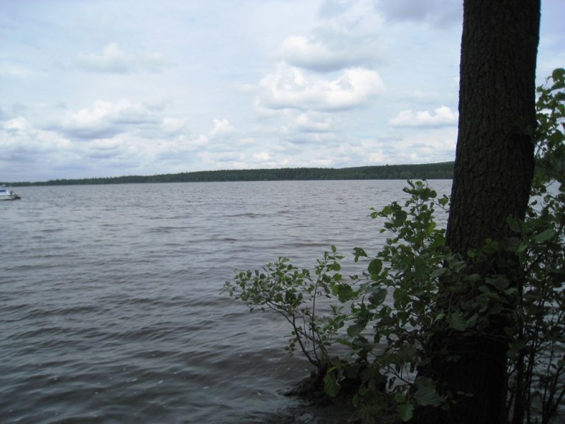 fotografie z akce Tři studně 2010