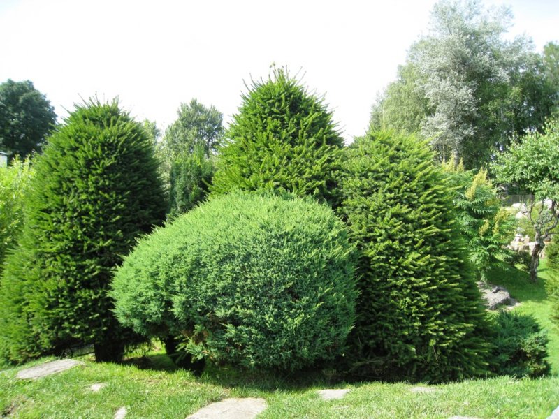 fotografie z akce Tři studně 2010