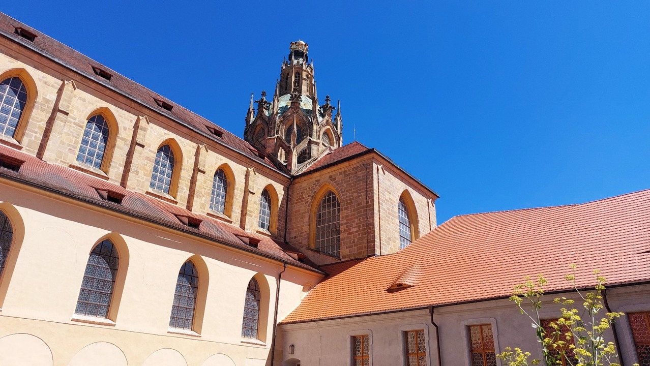 fotografie z akce Týden v Českém lese - III.