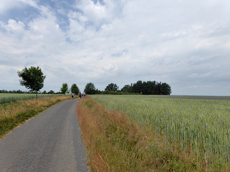 fotografie z akce Týden v Kynžvartu - II.