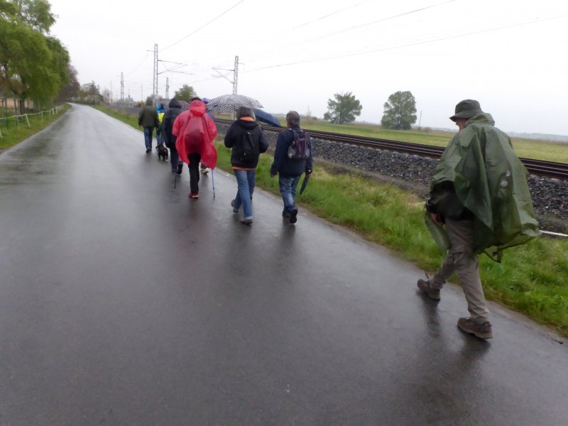 fotografie z akce Z Čelákovic do Lysé n/L-12 km