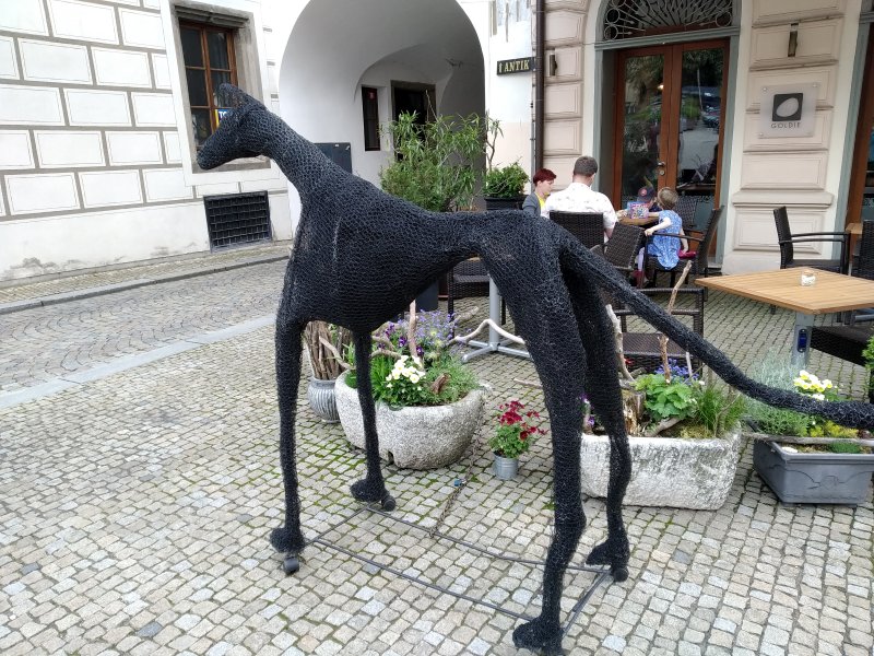 fotografie z akce Z Tábora do Tábora s Irenou